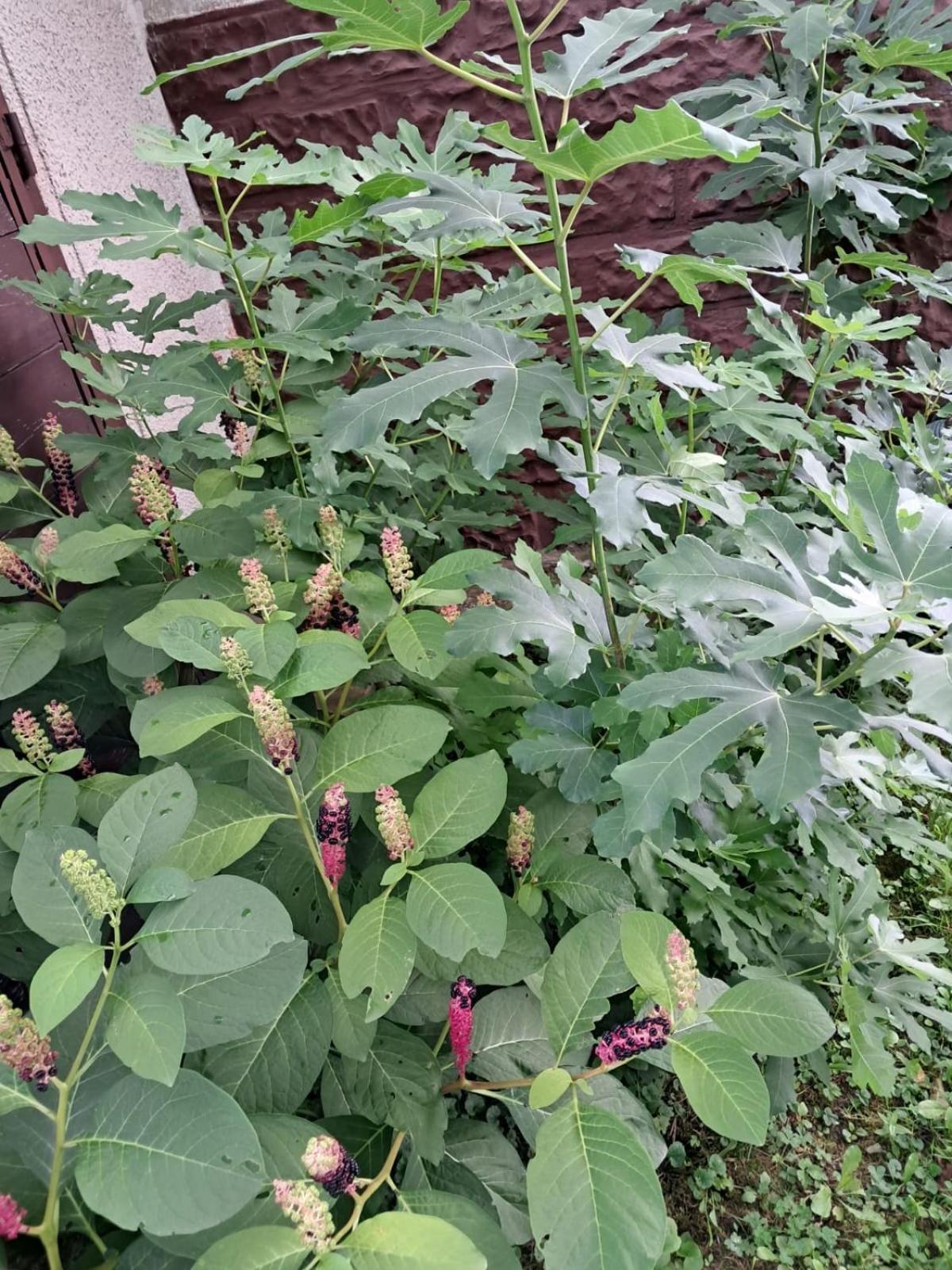 Agroturystyka Nad Bobrem Pilchowice Ngoại thất bức ảnh